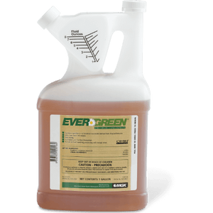 Evergreen Pyrethrum Concentrate (Insecticide) - 1 Gallon