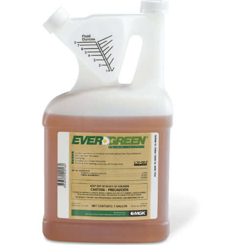 Evergreen Pyrethrum Concentrate (Insecticide) - 1 Gallon